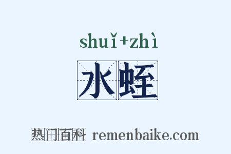 水蛭是什么意思的图片
